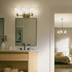 Shailene 21" 3-Light Vanity Light