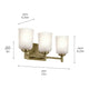 Shailene 21" 3-Light Vanity Light