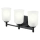 Shailene 21" 3-Light Vanity Light