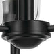 Shailene 15.25" 3-Light Mini Chandelier