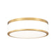 Ballord 1-Light Flush Mount