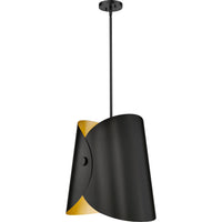 Salone 1-Light Pendant