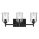 Shailene 21" 3-Light Vanity Light