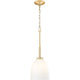 Naya 1-Light Pendant
