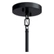 Madden 20" 4-Light Convertible Chandelier