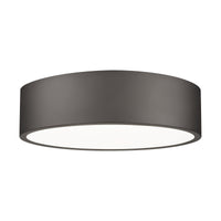 Coronado 1-Light Flush Mount