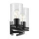 Crosby 31.25" 4-Light Vanity Light