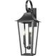 Gannon 3-Light Outdoor Wall Light