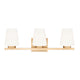 Nextra 3-Light Vanity