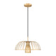 Valencia 1-Light Pendant