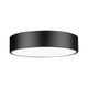 Coronado 1-Light Flush Mount