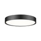Kawan 1-Light Flush Mount