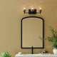 Shailene 21" 3-Light Vanity Light