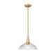 Lunelle 1-Light Pendant