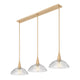 Lunelle 3-Light Linear Chandelier