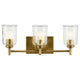 Shailene 21" 3-Light Vanity Light