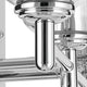 Shailene 21" 3-Light Vanity Light