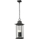 Tiberius 4-Light Outdoor Pendant