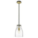 Shelby 8" 1-Light Pendant