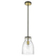 Shelby 8" 1-Light Pendant