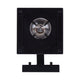 Newport 1-Light Outdoor Wall Light