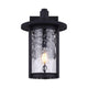 Canarm - Leon 1-Light Outdoor Wall Light - Lights Canada