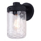 Juno 1-Light Outdoor Wall Light
