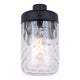 Juno 1-Light Outdoor Wall Light