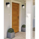 Juno 1-Light Outdoor Wall Light