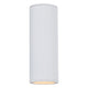 Rexton 2-Light Outdoor Wall Light