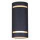 Ravyn 2-Light Outdoor Wall Light