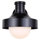 Baylor 1-Light Outdoor Wall Light