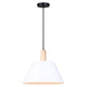 Canarm - Harlyn 1-Light Pendant - Lights Canada