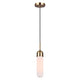 Canarm - Bevin 1-Light Pendant - Lights Canada