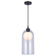 Pelia 1-Light Pendant