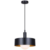 Daylon 1-Light Pendant