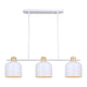 Caleb 3-Light Pendant