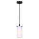 Kinslea 1-Light Pendant