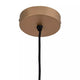 Sage 1-Light Pendant