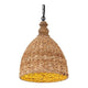 Kalinda 1-Light Pendant