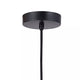 Eden 1-Light Pendant