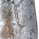 Eden 1-Light Pendant