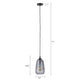 Eden 1-Light Pendant