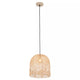 Indy 1-Light Pendant