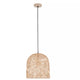 Indy 1-Light Pendant