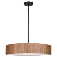 Dexter 4-Light Pendant