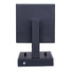 Alaina 1-Light Outdoor Lantern