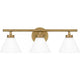Ira 3-Light Vanity Light