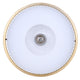Eve 1-Light Semi Flush
