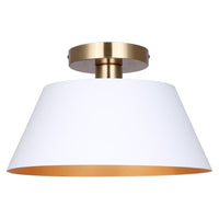 Daxton 1-Light Semi Flush